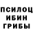 Псилоцибиновые грибы MAGIC MUSHROOMS @dammerrr