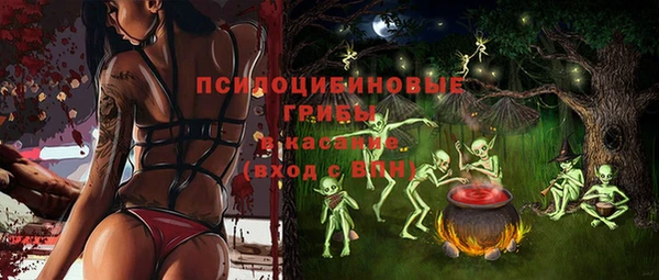 стафф Алексеевка