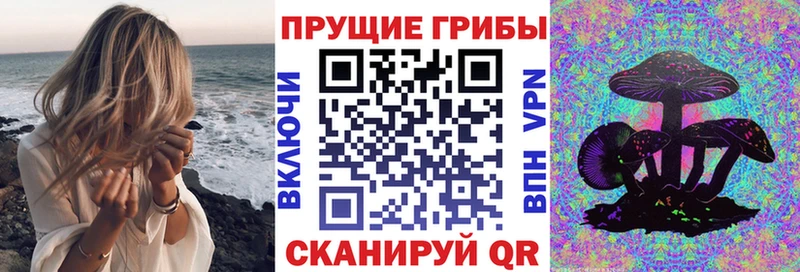 Псилоцибиновые грибы GOLDEN TEACHER  Абакан 