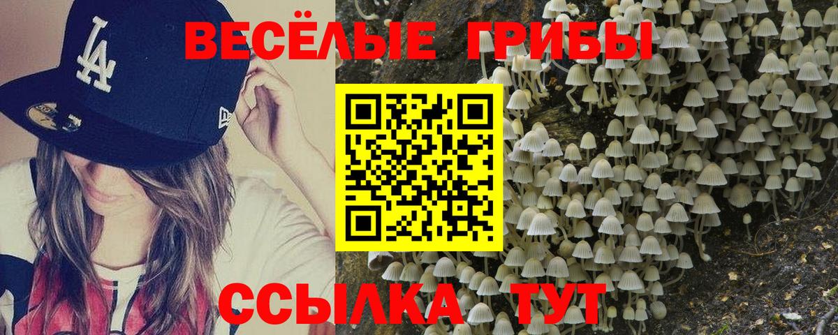Галлюциногенные грибы ЛСД  Галлюциногенные грибы ЛСД  наркошоп  Абакан  Вход с VPN 